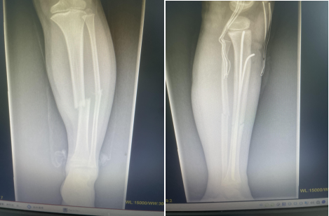 微信图片_20240424144108.png 微信图片_20240424144108.png