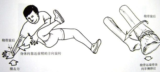 图片3.png 图片3.png