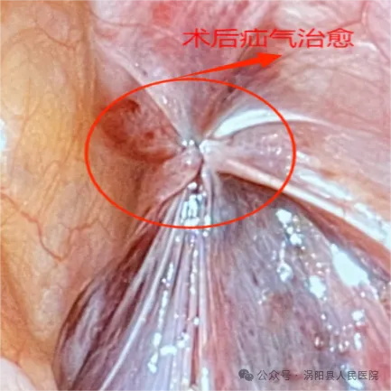 640 (2)_看图王1.jpg