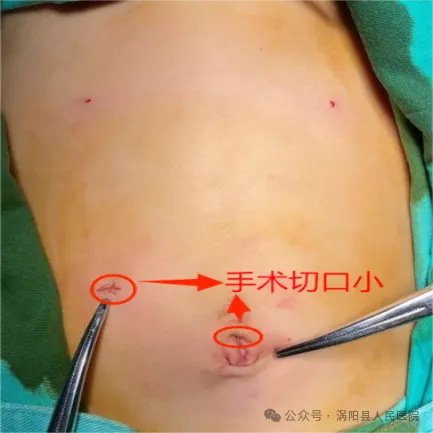 640 (3)_看图王3.jpg