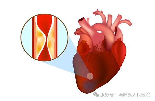 640 (2).png 640 (2).png