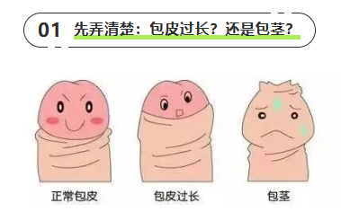 微信图片_20260720095946_1978_11.png 微信图片_20260720095946_1978_11.png